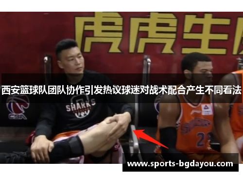 西安篮球队团队协作引发热议球迷对战术配合产生不同看法