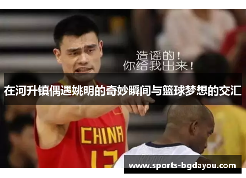 在河升镇偶遇姚明的奇妙瞬间与篮球梦想的交汇