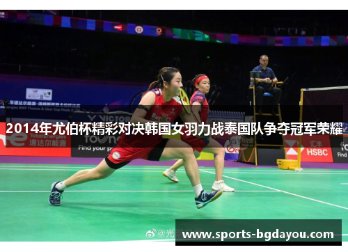 2014年尤伯杯精彩对决韩国女羽力战泰国队争夺冠军荣耀